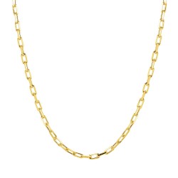 ZN0039N CHAIN 55cm NECKLACE GOLD PL 925